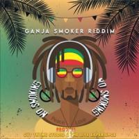No Matter What(feat. Shinesse Mohammed & Naldo)_The Live Experience,Shinesse Mohammed,Naldo