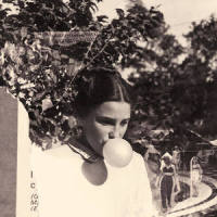 Radiance_She Keeps Bees