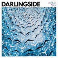 My Gal, My Guy_Darlingside