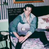 Where The Pines Meet The Palms(Stripped Back)_Liam St. John