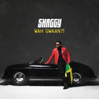 When She Loves Me_Shaggy,Rayvon