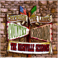 Donegal Rain(Feat. Vince Gill)_Cherish The Ladies,Vince Gill
