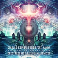 The Great Awakening_Starlab (IN),Spinal Fusion,Kamya