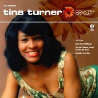 You Ain't Woman Enough (To Take My Man)_Tina Turner