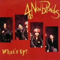 What's Up_4 Non Blondes