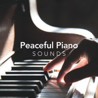 Solo_Peter Broderick