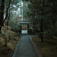 Stargazing Lovers_Sounds of Rain & Thunder Storms,Relaxamento,Deep Sleep