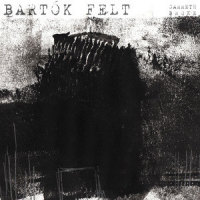 Bartók: Andante_Garreth Broke