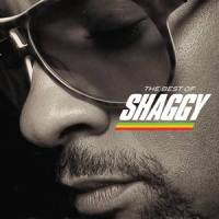 Oh Carolina_Shaggy