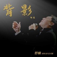 背影_韩磊