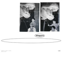 Fire Like Tyndall_Vegyn,Joseph Winger Thornalley,Teo Halm,Freddie Gibbs,William Conall Shea