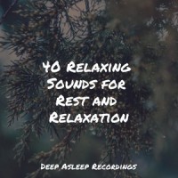 Spring's Awakening_Mother Nature Sound FX,Spa,Sleep Sounds of Nature