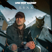 Lynx More (Woif Mashup)_Woif,Brooks