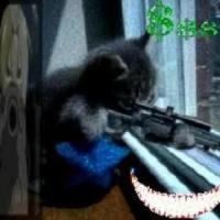 awesome blastonem_stvn,Benjamin Counter