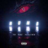 Numb to the Feeling_Chase Atlantic