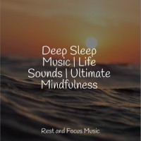 Spiritual Pulse_Guided Meditation Music Zone,Deep Sleep,Mindfulness Mediation World