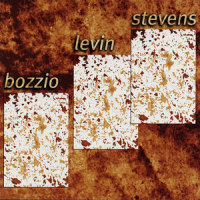 Situation Dangerous_Bozzio Levin Stevens