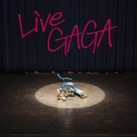 LIVE GAGA_WEAVER