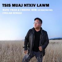 Tsis Muaj Ntxiv Lawm (feat. Cheenu Her)_Dang Thao,Cheenu Her