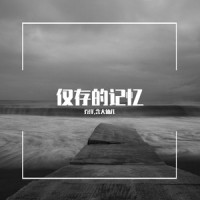 仅存的记忆_乔洋,含大仙儿