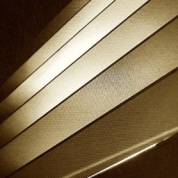 Magnetic Rag_Scott Joplin