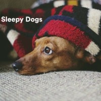 I Want You in My Arms_Sleepy Dogs,Music for Calming Dogs