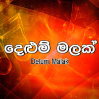 Waradata Samawa_Kingsley Peiris