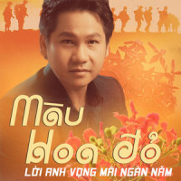 Hoa Bằng Lăng Trên Phố_Hương Giang