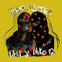 Flex(Hai sus femeile)_Niko G,Kali