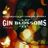 7th Inning Stretch_Gin Blossoms