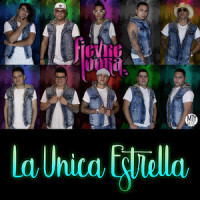La Única Estrella_Fievre Looka