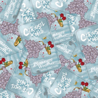 Pleasure Weather_Carousel Kings,Saxl Rose