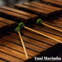 Don't Stop Me Now_Yuni Marimba,Freddie Mercury