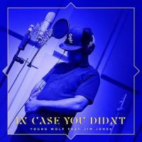 In Case You Didn't(feat. Jim Jones)_Young Wolf,Jim Jones