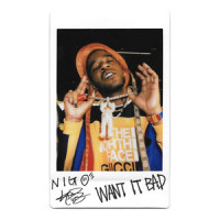 Want It Bad_Kid Cudi,Nigo