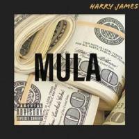 Mula_Harry James