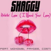 Habbi Love (I Need Your Love)_Shaggy,Mohombi,Faydee,Costi