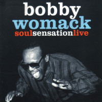 If You Think You're Lonely Now_Bobby Womack,Womack,Griffin,Moten