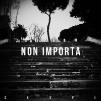 Non Importa_Seany126,Carl Brave