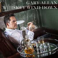 It Ain't The Whiskey_Gary Allan