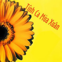 Ngày Tết Quê Em(feat. Cadillac)_Đoan Trang,Cadillac