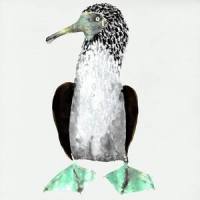 Penguins_Cosmo Sheldrake