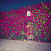 The Wind_Feist