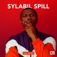 Druck_Sylabil Spill