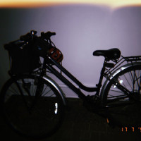 Bicycle_Elijah Miller