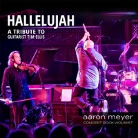 Susan's Song(feat. Tim Ellis & Aaron Meyer)_Aaron Meyer,Tim Ellis