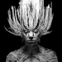 Human Engine_Kate Boy