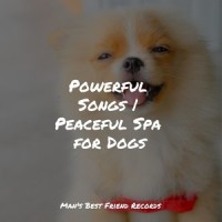 Ultimate Relaxation_Sleep Music For Dogs,Dog Music,Sleepy Dogs