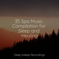 Sunset_Musica Reiki,Pink Noise,Deep Sleep Music Experience