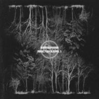 A Traveller's Nightmare_Born from Pain